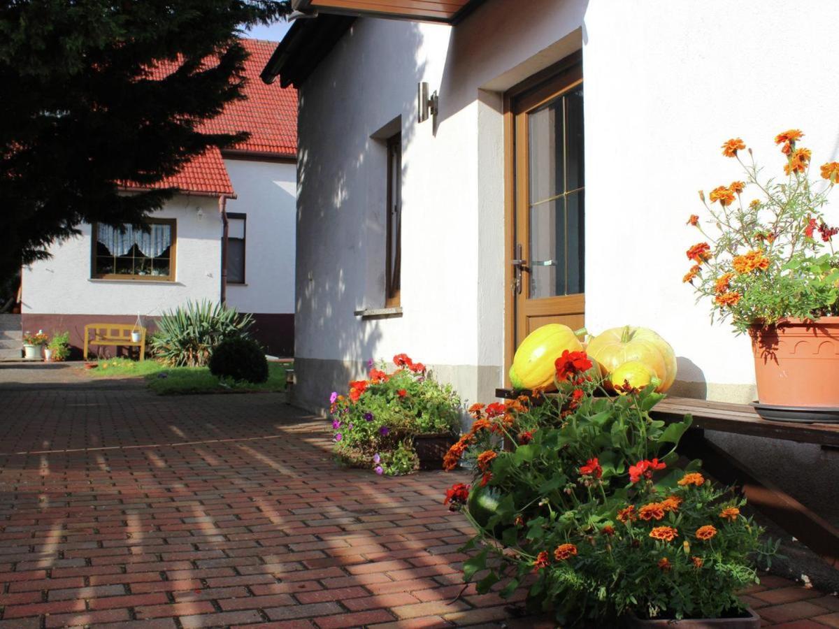 Ferienhaus Christine Schenkendobern Exterior photo