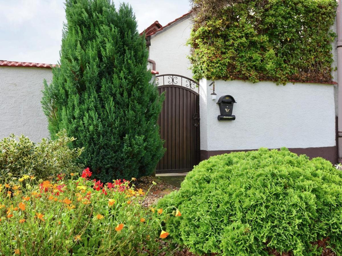 Ferienhaus Christine Schenkendobern Exterior photo